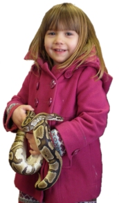 Parties in woking, guildford and knaphill