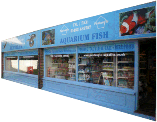 Pentangle's New Shop in Knaphill nr Woking.