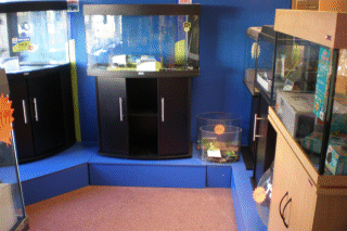 Selection of Aquariums for both Tropical and Freshwater fish