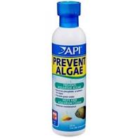 API Prevent Algea 237ml