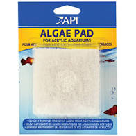API Algea Pad Cleaner for Glass
