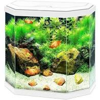 Ciano Aqua 30 (25L) Complete with Light & Filter. White