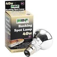 40W Basking Spot Lamp Bayonet