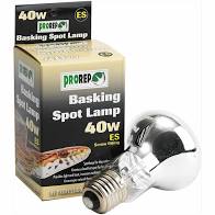 40W Basking Spot Lamp Screw