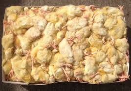 Frozen Chicks Bulk